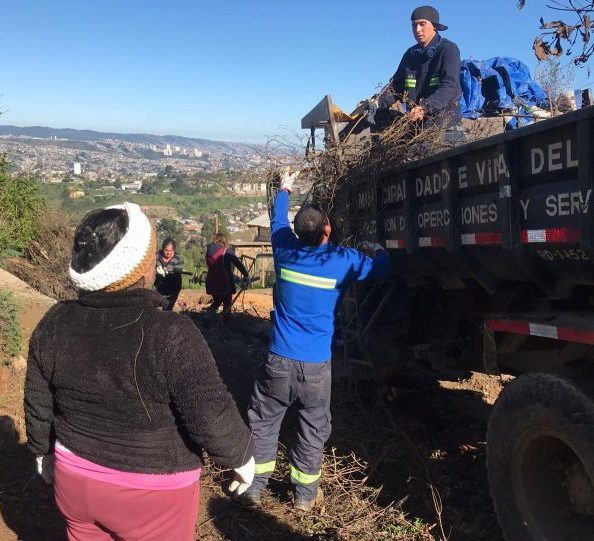 Municipio de Viña del Mar ejecuta operativos de mejoramiento urbano en barrios y plan de la ciudad