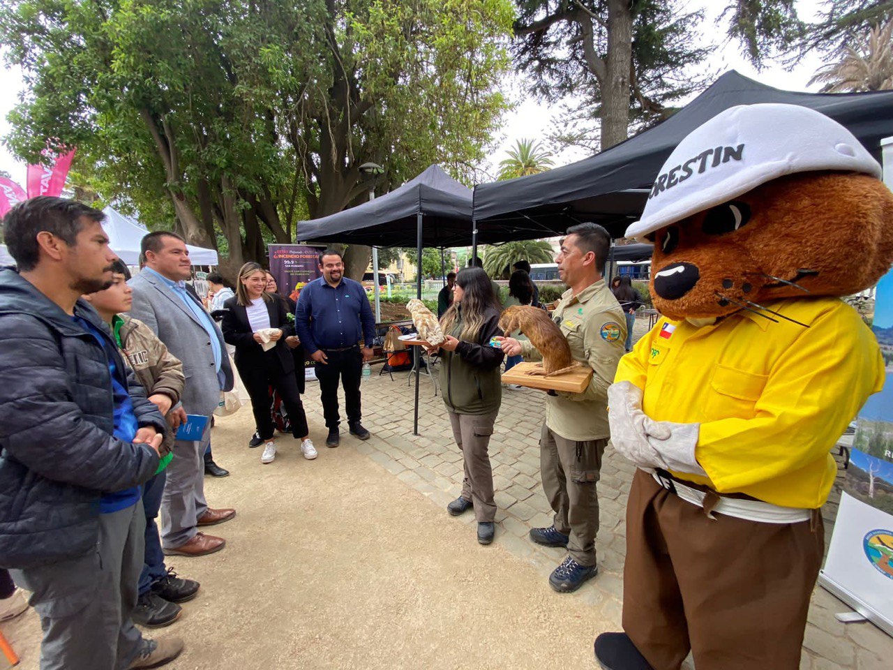 dia eduacion ambiental 4