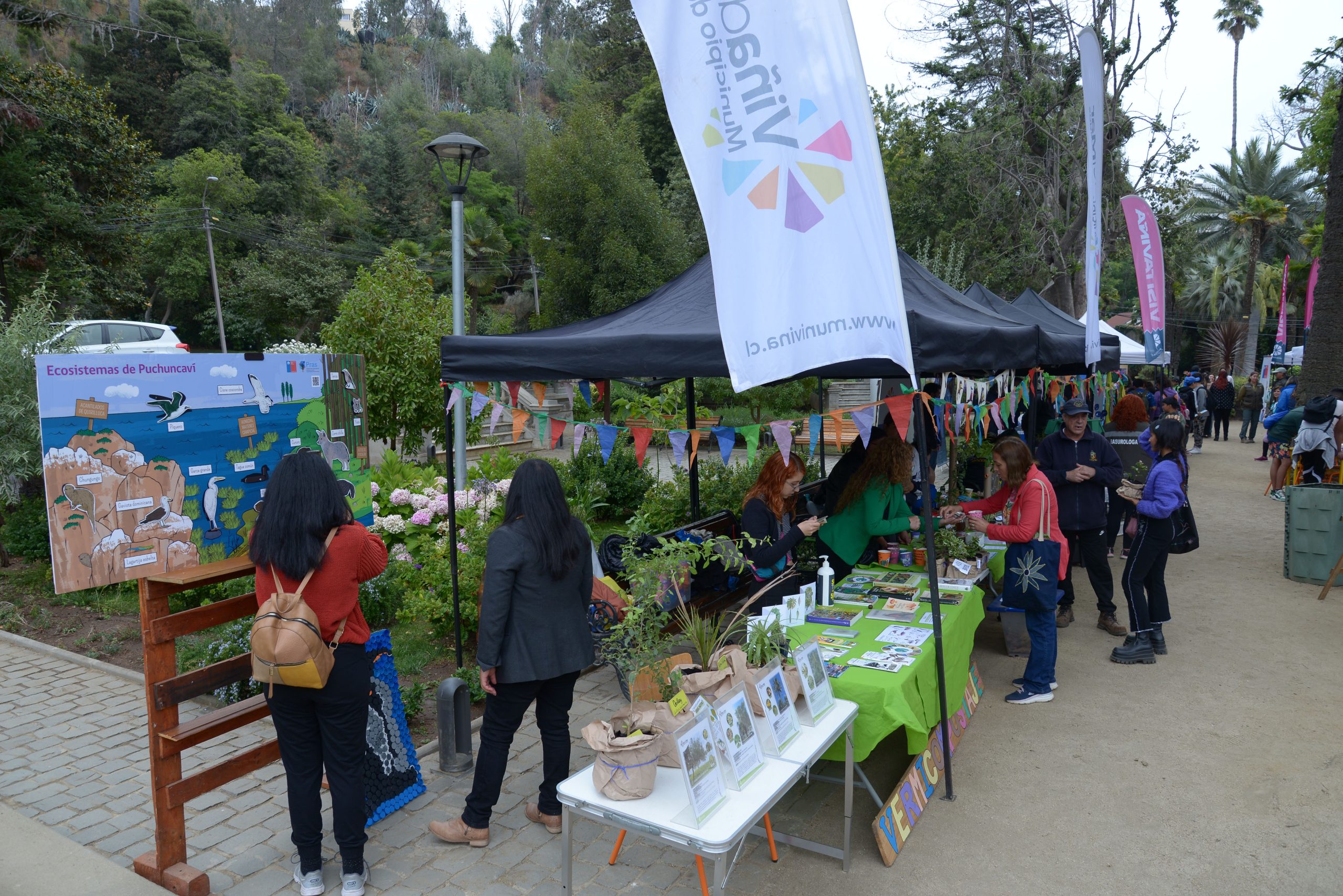 dia eduacion ambiental 8