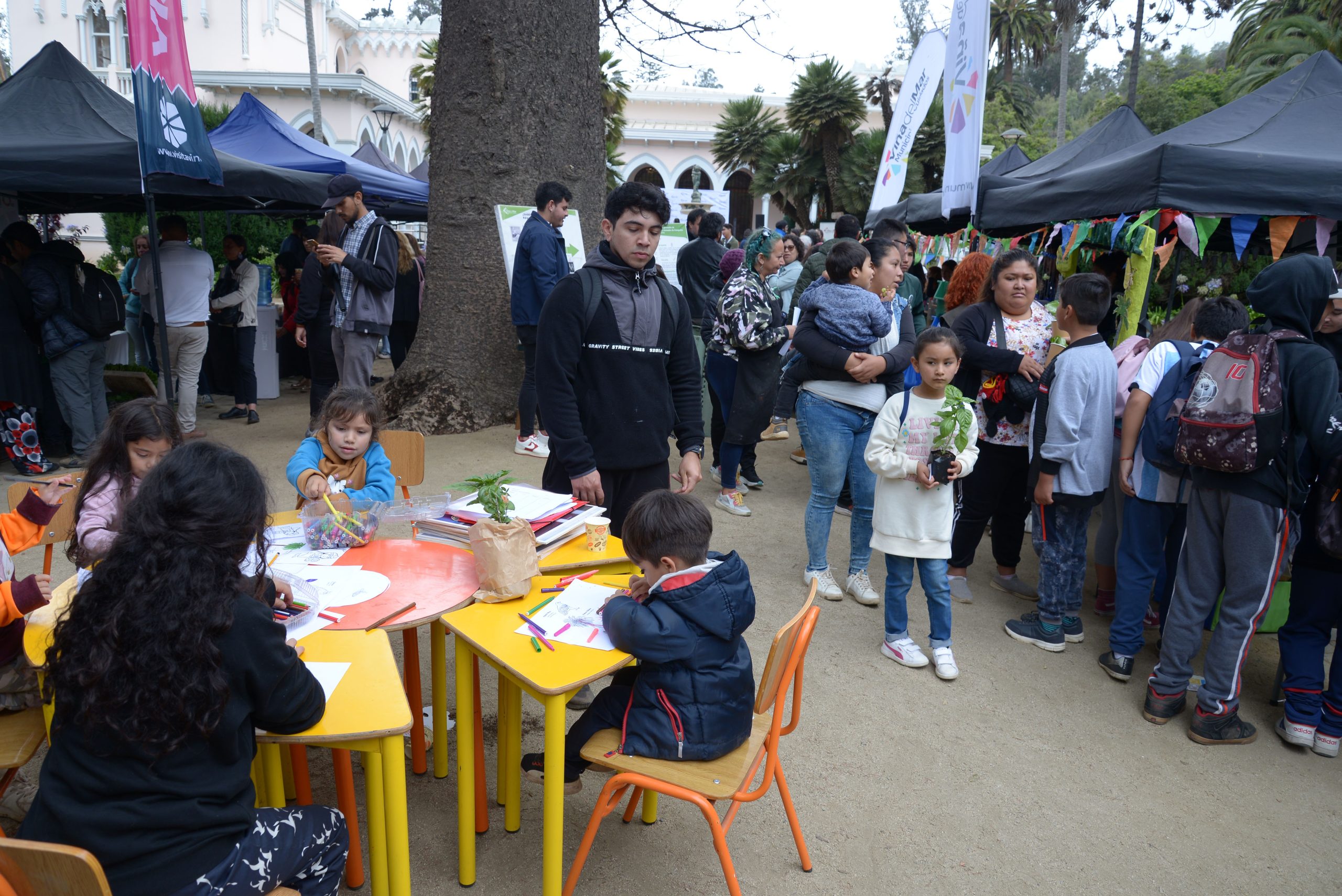 dia eduacion ambiental 9