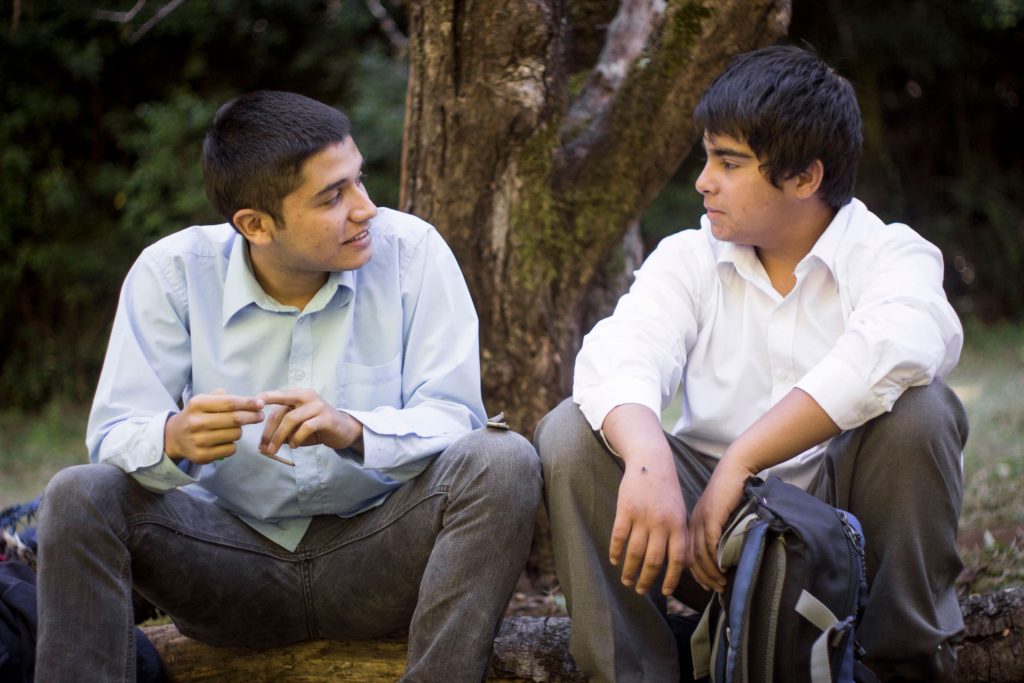 Imagen principal: FICVIÑA  2024 invita a participar en su Programa de Formación de Público