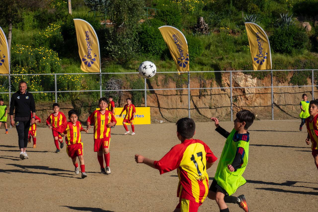 canchas 4