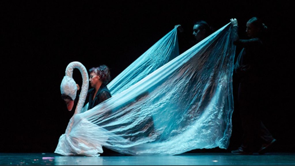 Imagen principal: Festival de Teatro llega al Municipal de Viña del Mar con obras para toda la familia y entrada liberada