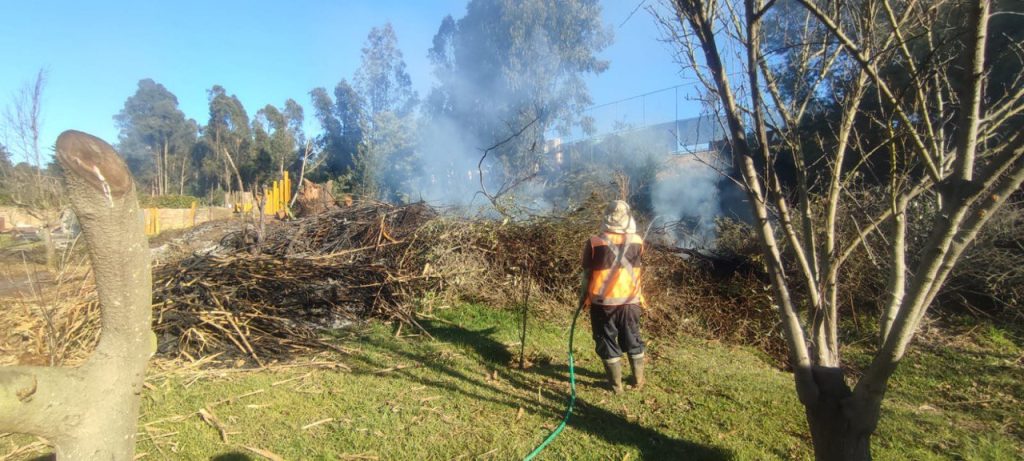 Imagen principal: Municipio y Carabineros detienen riesgosa quema ilegal en sector alto de Viña del Mar