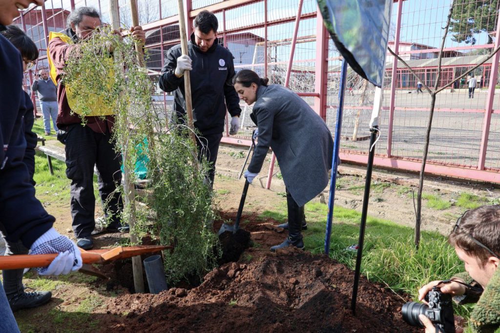 Imagen de la noticia: Reforestación Liceo Industrial de Miraflores