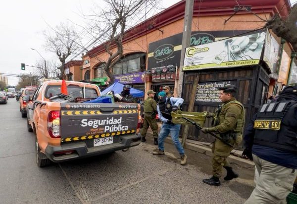 Intenso operativo municipal conjunto con carabineros logró decomisar 9.400 especies del comercio ilegal y detener a 13 personas en Viña del Mar 