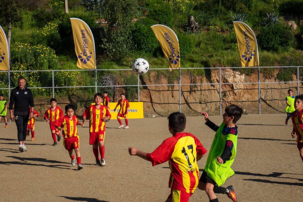 Imagen principal: Municipio de Viña del Mar aprueba adjudicación de obras para mejorar recintos deportivos de Santa Julia y Chorrillos