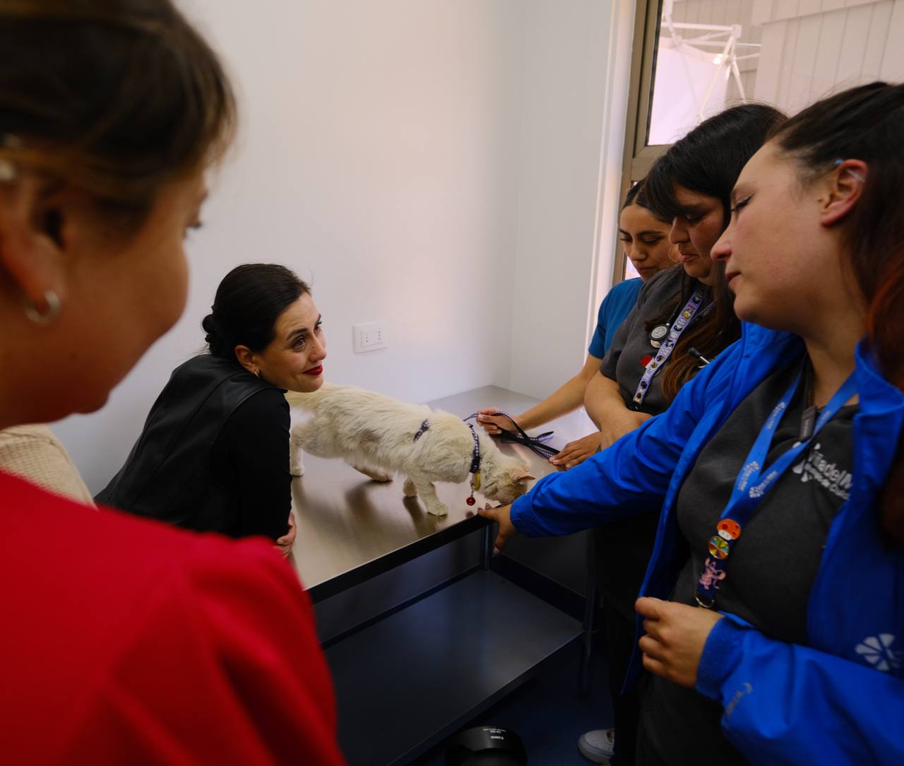 centro veterinario 1