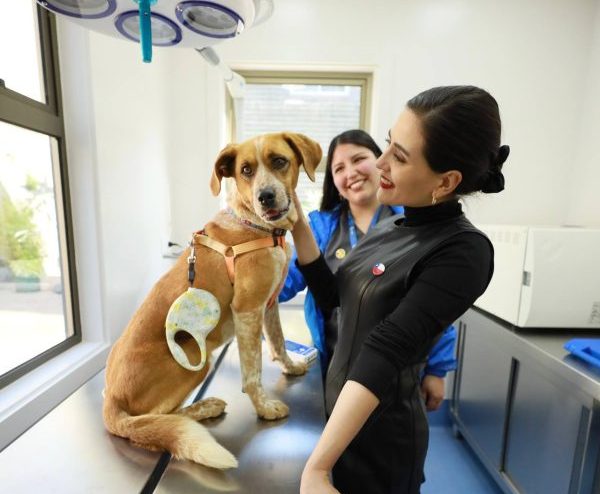 Inauguran el primer Centro veterinario municipal de Viña del Mar con atención primaria gratuita para los vecinos