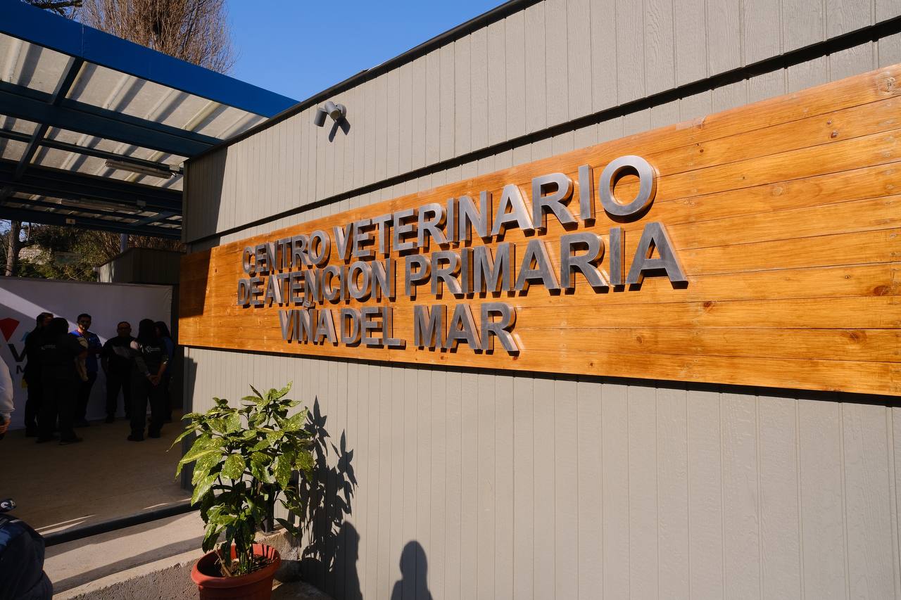 centro veterinario 4