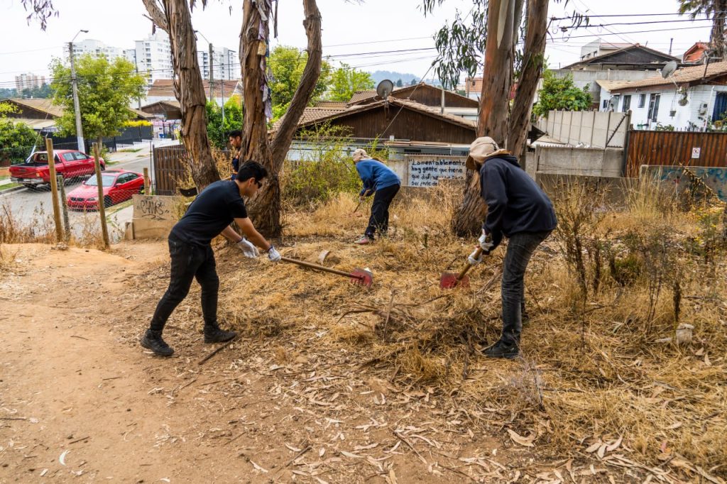 Imagen principal: Municipio de Viña del Mar refuerza plan preventivo de incendios forestales a través de desmalezado participativo
