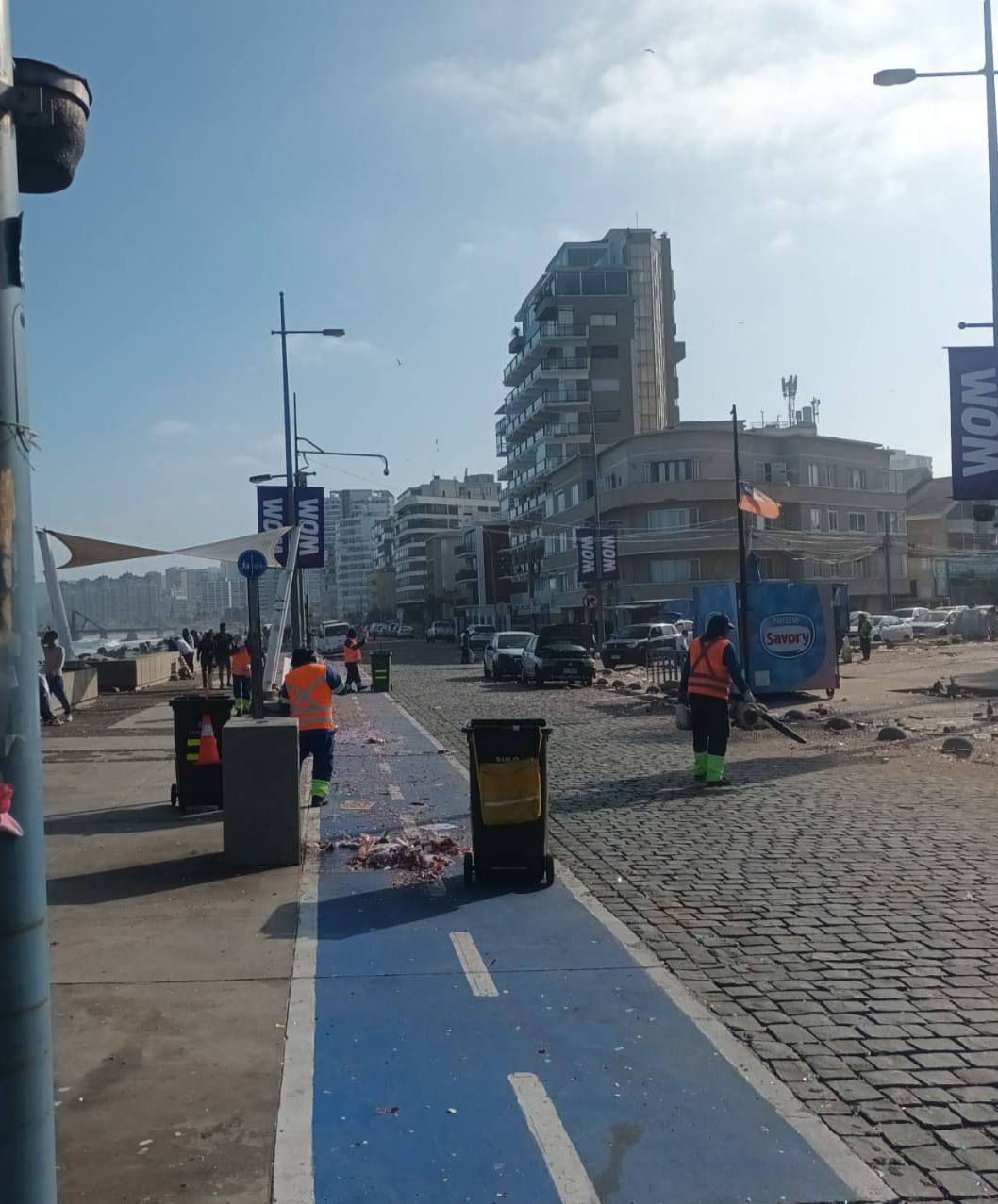 limpieza año nuevo 2 (2)