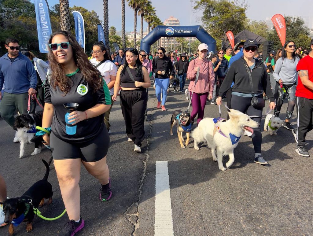 Imagen principal: Multitudinaria asistencia a 1era. Caminata Familiar Canina en Viña del Mar por el 98º aniversario de Carabineros de Chile
