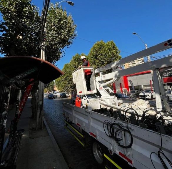 luminarias vergara 3