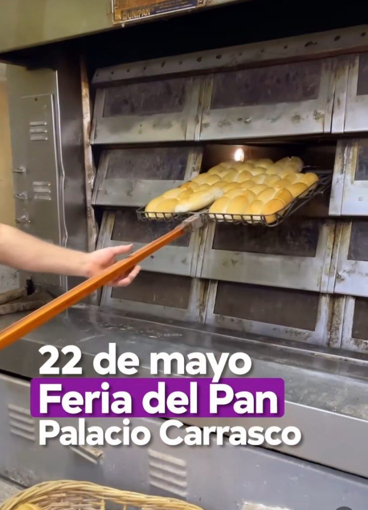 Imagen principal: Primera Feria del Pan en Viña del Mar pone en valor a panaderías del barrio fundacional