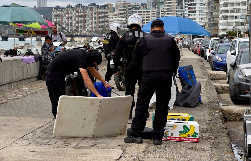 Imagen principal: Municipio de Viña del Mar refuerza operativos en borde costero: más de 1.100 especies retiradas en los últimos tres meses