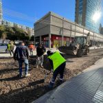 Municipio de Viña del Mar intensifica plan de bacheos en calles de la ciudad