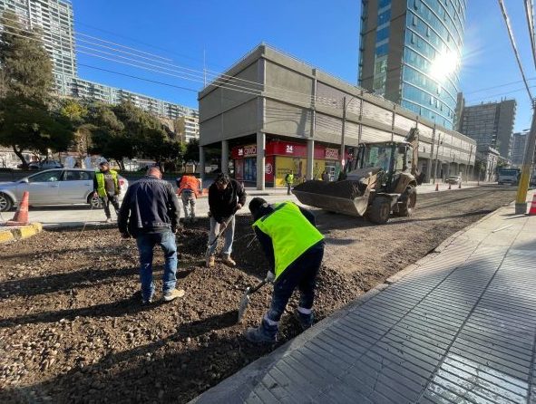 Municipio de Viña del Mar intensifica plan de bacheos en calles de la ciudad