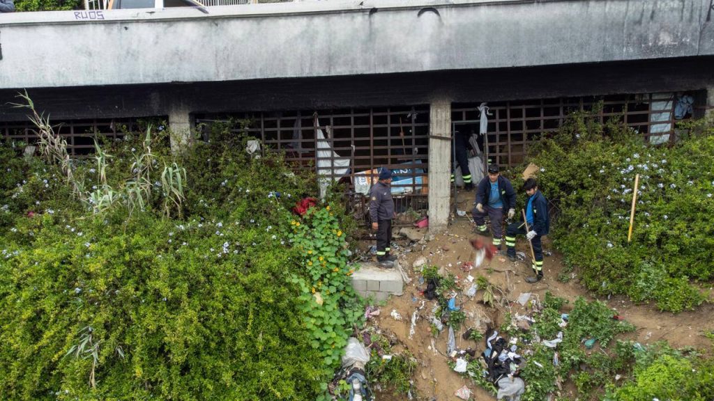 Imagen principal: Municipio de Viña del Mar realizó complejo operativo para sacar rucos en ladera de calle toro herrera en caleta abarca