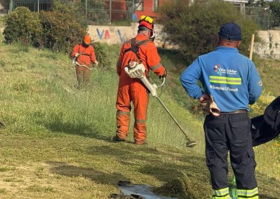 Imagen de galería: 2 desmalezado