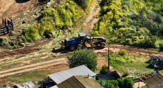 Imagen de galería: 3 desmalezado