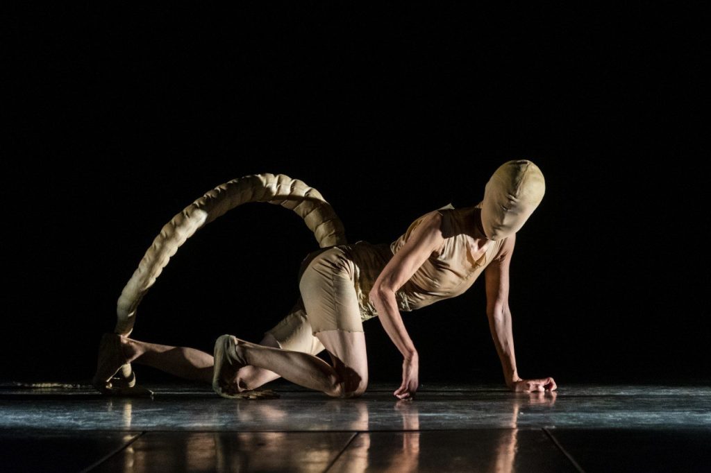 Imagen principal: GOD SAVE THE QUEEN, FULANO Y EL FESTIVAL DE CINE DESTACAN EN LA PROGRAMACIÓN DEL TEATRO MUNICIPAL DE NOVIEMBRE