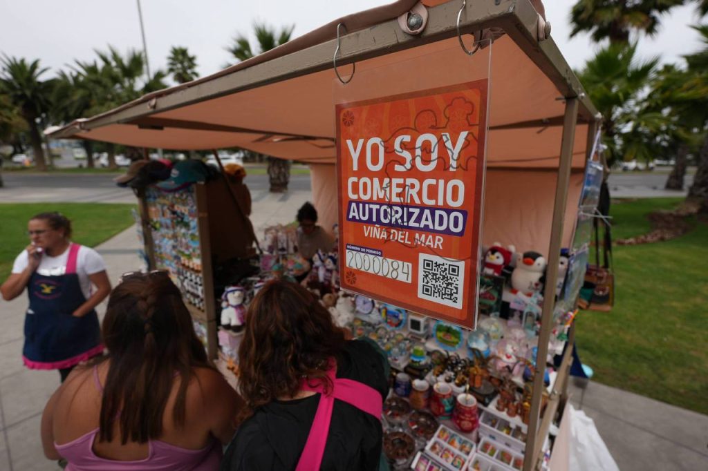 Imagen principal: Municipio de Viña del Mar inició fiscalizaciones con multas a compradores en el comercio ilegal