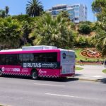 MÁS DE 10 MIL PERSONAS HAN VIAJADO EN BUS ELÉCTRICO MUNICIPAL “VISITA VIÑA” PARA CONOCER LA CIUDAD