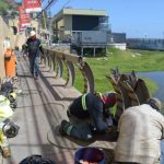 Miniatura de noticia