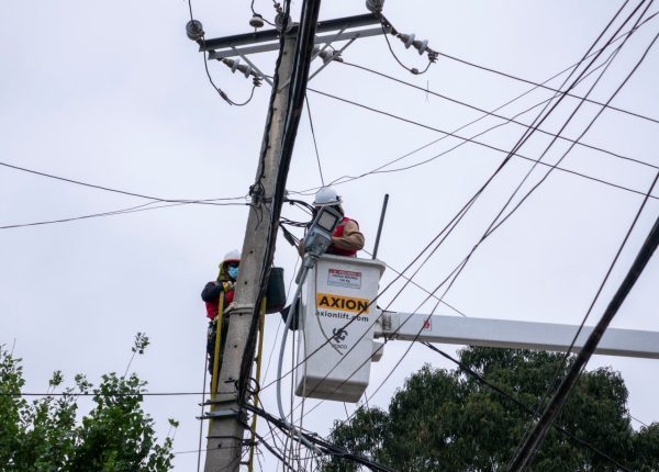 Imagen de noticia: Más de 700 luminarias renovará el Municipio de Viña del Mar en Forestal para aumentar la seguridad del sector   