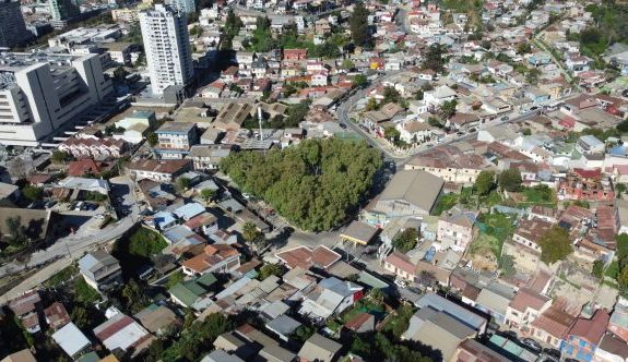 Imagen de la noticia Más de 700 luminarias renovará el Municipio de Viña del Mar en Forestal para aumentar la seguridad del sector   
