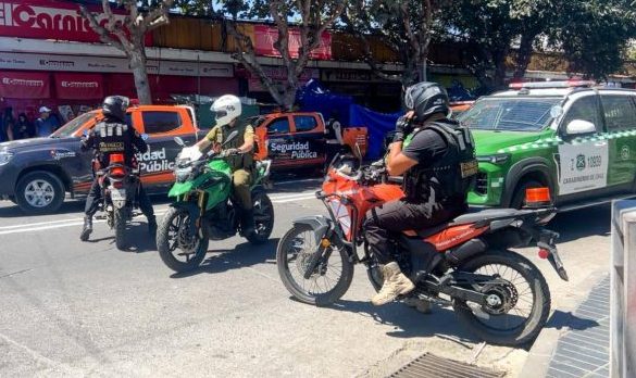 Imagen de la noticia INTENSA LABOR DE SEGURIDAD PÚBLICA MUNICIPAL LOGRÓ 440 DETENCIONES, 324 OPERATIVOS CONTRA EL COMERCIO ILEGAL Y 36.346 ESPECIES DECOMISADAS ESTE VERANO