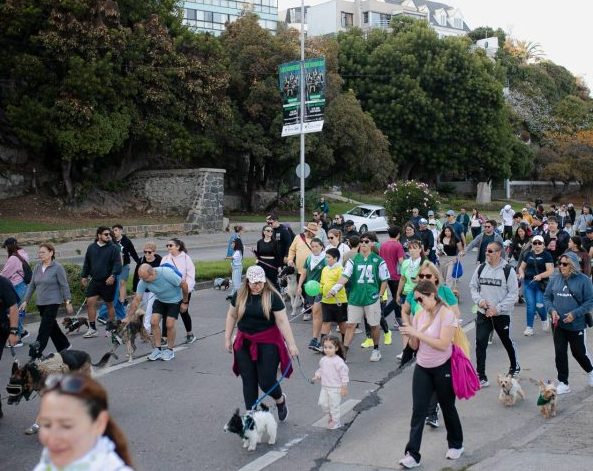 Imagen de noticia: Masiva presencia de familias en el Borde Costero de Viña del Mar en Caminata Familiar Canina por el 99º Aniversario de Carabineros de Chile