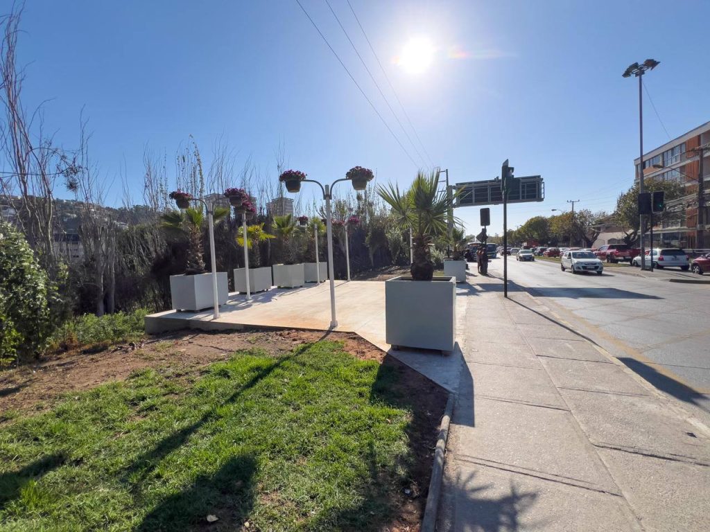 Imagen principal: Municipio de Viña del Mar recupera espacio público en paradero de Miraflores