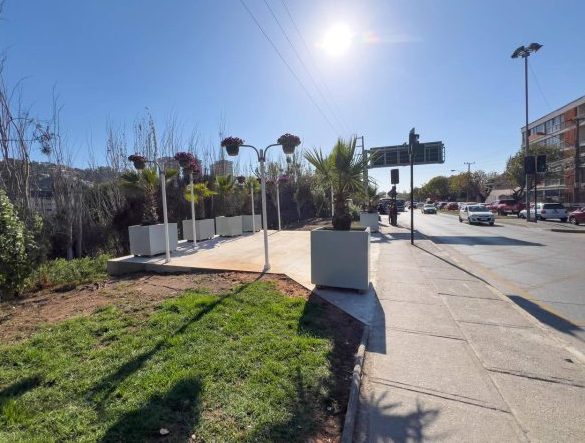 Imagen de noticia: Municipio de Viña del Mar recupera espacio público en paradero de Miraflores