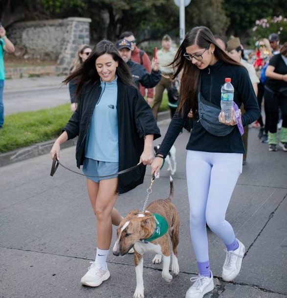 Imagen de la noticia Masiva presencia de familias en el Borde Costero de Viña del Mar en Caminata Familiar Canina por el 99º Aniversario de Carabineros de Chile