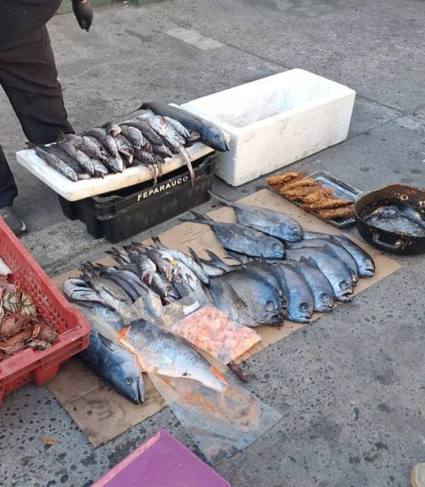 Imagen de la noticia Operativo de fiscalización municipal permite retirar pescados en dudoso estado y productos falsificados del comercio ilegal de Viña del Mar