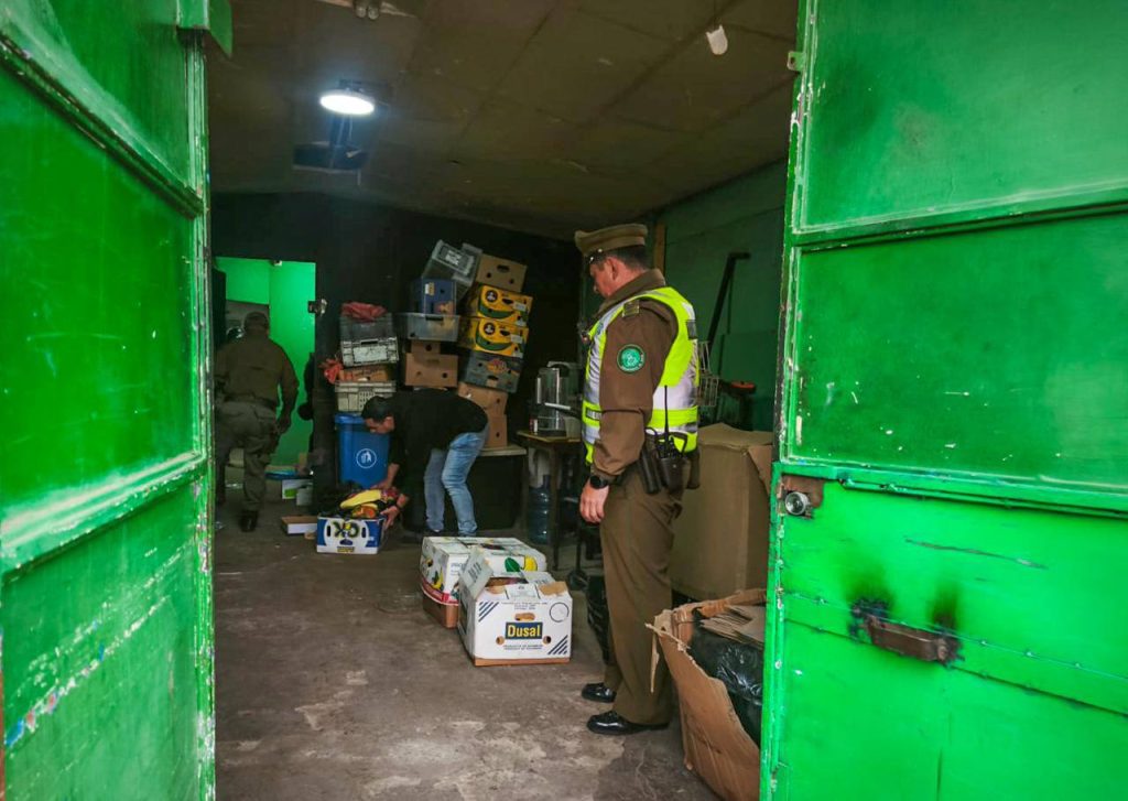 Imagen principal: Golpe al comercio ilegal: Dirección de Seguridad Pública del municipio junto a carabineros desbarata bodegas clandestinas en Viña del Mar