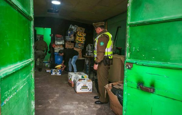 Imagen de noticia: Golpe al comercio ilegal: Dirección de Seguridad Pública del municipio junto a carabineros desbarata bodegas clandestinas en Viña del Mar