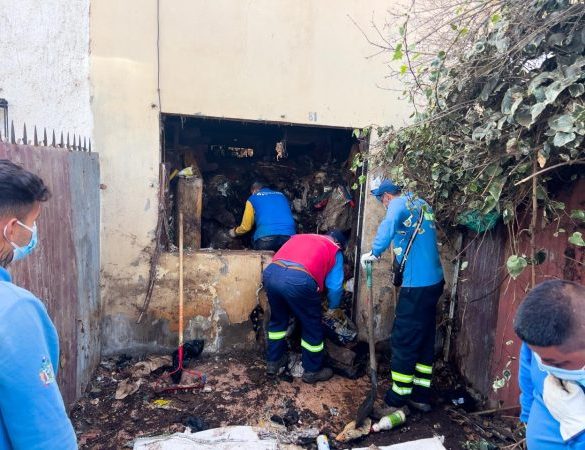 Imagen de la noticia En importante operativo Municipio de Viña del Mar rescata 35 mascotas y realiza despeje de basural en Gómez Carreño