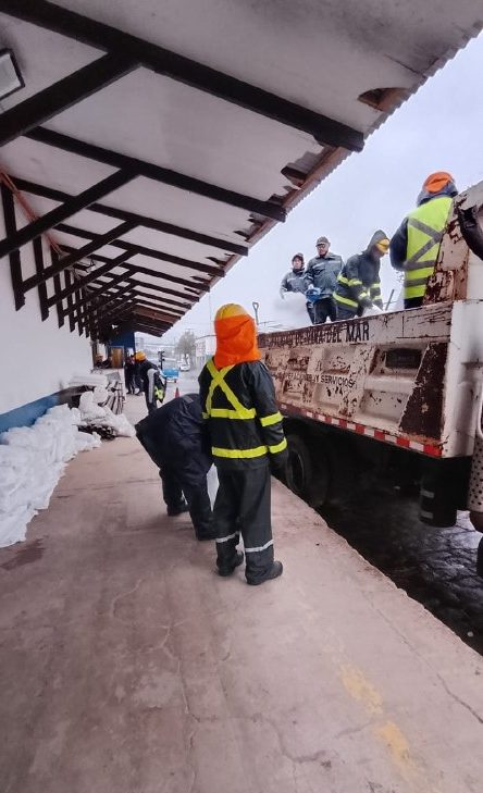 Imagen de noticia: Viña del Mar afronta sin grandes contratiempos jornada de lluvia