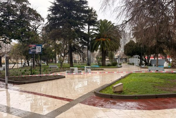 Imagen de noticia: Municipio de Viña del Mar cierra accesos a plazas y al parque Quinta Vergara durante dure la emergencia