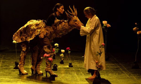 Imagen de la noticia 2º Festival de Teatro destaca en cartelera de julio del Teatro Municipal de Viña del Mar