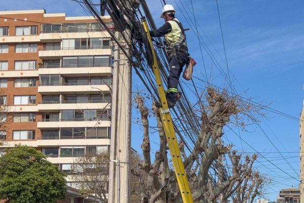 Imagen de la noticia Cerca de 13 mil metros de cables en desuso se han retirado desde diversos sectores de Viña del Mar tras impulso de nueva Ordenanza Municipal