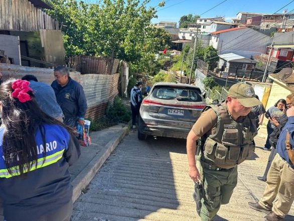 Imagen de la noticia MUNICIPIO DE VIÑA DEL MAR Y AGRUPACIONES ANIMALISTAS RESCATAN 11 PERROS EN NUEVA AURORA