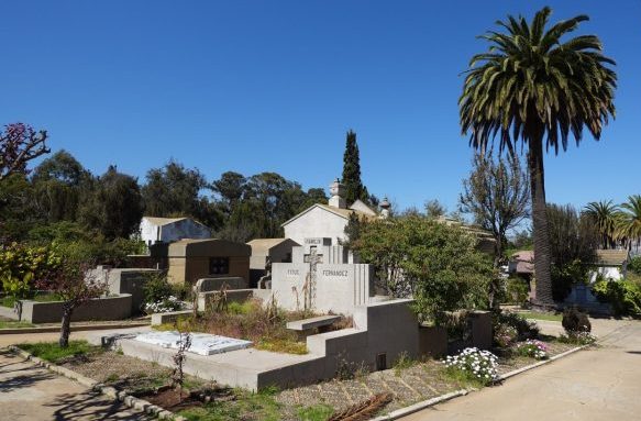 Imagen de noticia: Cementerio Santa Inés refuerza medidas de acceso y seguridad para recibir a visitantes en el Día de Todos los Santos