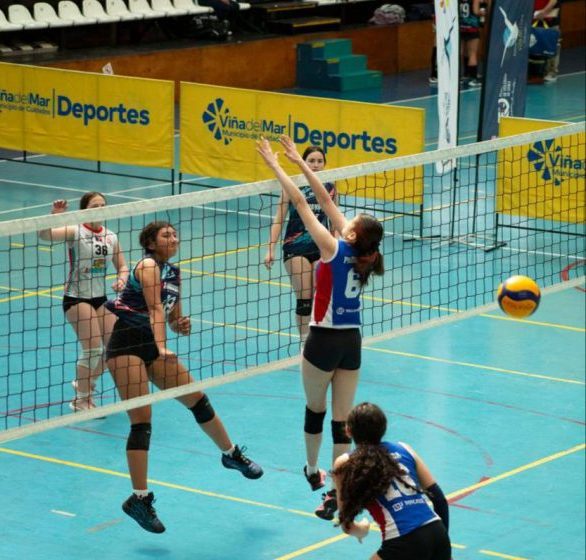 Imagen principal: Ya están abiertas las postulaciones para Beca Deportiva Municipal de Viña del Mar
