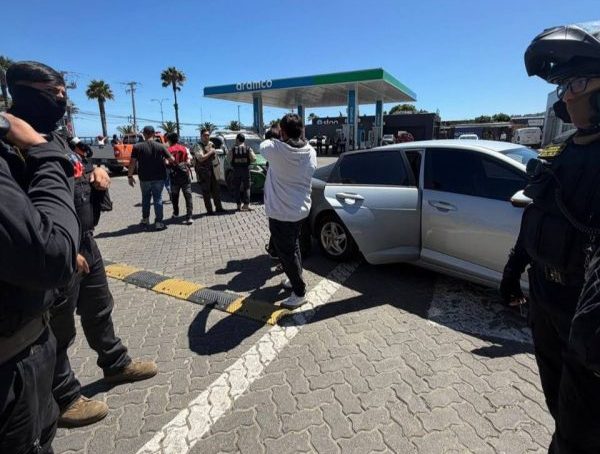 Imagen de noticia: Seguridad municipal de Viña del Mar detiene a delincuentes y logran recuperación de especies tras robo en Playa del Deporte