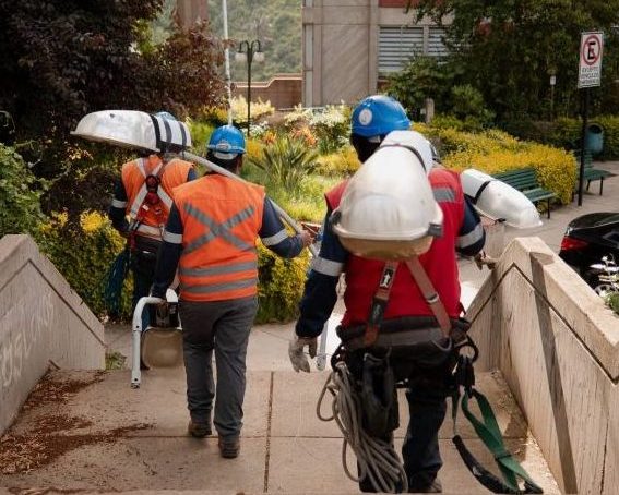 Imagen de noticia: Municipio de Viña del Mar instala más de un millar de nuevas luminarias en forestal y se aproxima al objetivo de ser ciudad 100% led