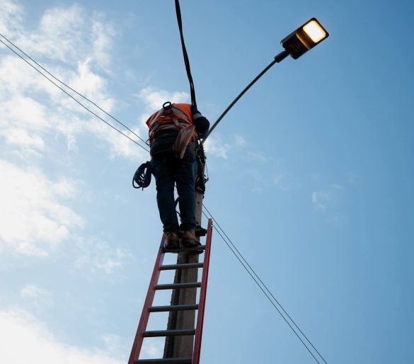 Imagen de la noticia Municipio de Viña del Mar instala más de un millar de nuevas luminarias en forestal y se aproxima al objetivo de ser ciudad 100% led